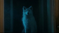 «Thursday Night (2017)» — обои к фильму #1