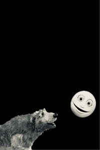movie-images
