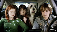 «Лохматый папа (2006)» — обои к фильму #5