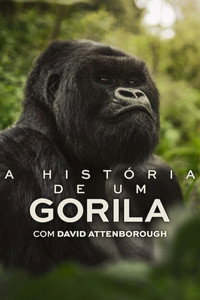 Imagem do Filme A História de Um Gorila com David Attenborough