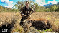 Sneaky 12 point Red Stag hunt