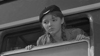 «Ко мне, Мухтар! (1964)» — обои к фильму #4