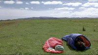 «Орел против акулы (2007)» — обои к фильму #5