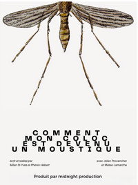 Comment mon coloc est devenu un moustique
