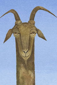 Imagem do Filme chthonios