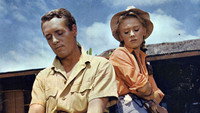 «Под африканским небом (1958)» — обои к фильму #1