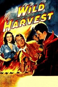 Poster de Wild Harvest