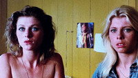 «Мои ночи с Сьюзен, Ольгой, Альбертом, Джули, Пит и Сандрой (1975)» — обои к фильму #8