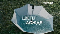 «Цветы дождя (2017)» — обои к сериалу #2
