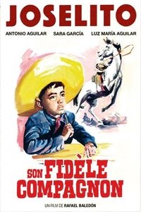 Poster de Son fidèle compagnon