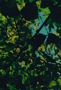 movie-images