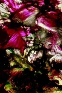 movie-images