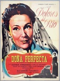 Poster de Doña Perfecta