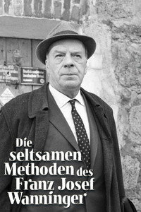 Постер сериала «Странные методы Франца Йозефа Ваннингера (1965 - 1970)» — (2 из 4)