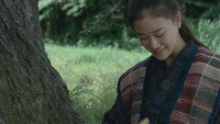 «Молния для дерева (2010)» — обои к фильму #1