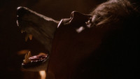 La Compagnie des Loups