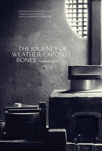 Imagem do Filme The Journey of Weather-Exposed Bones
