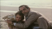«Прошу не беспокоиться (1990)» — обои к фильму #1