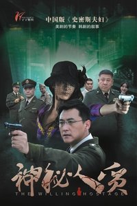 神秘人质 (2013)