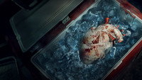«Хирург (2025)» — обои к сериалу #4