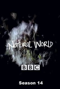 Watch Natural World - Season 14 123Movies