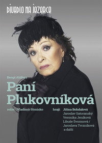 Постер к фильму Paní plukovníková (2018)