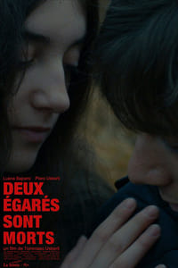 Deux égarés sont morts (2017)