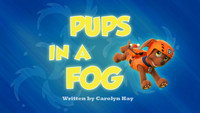 Pups in a Fog