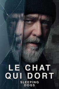 Le chat qui dort (2024)