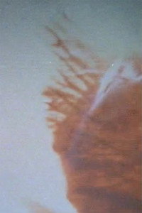 Little Fissures (2010) poster