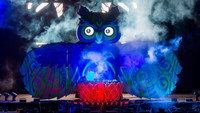 «EDC 2013: Under the Electric Sky (2014)» — обои к фильму #1