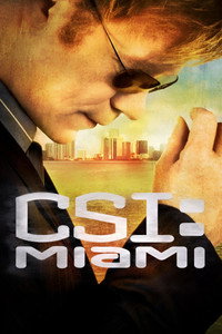 Постер сериала «C.S.I.: Майами (2002 - 2012)» — (23 из 50)