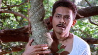 «Devrai (2004)» — обои к фильму #1
