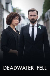 Постер сериала «Падение в мёртвые воды (2020)» — (3 из 12)