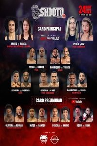 Poster de Shooto Brasil 133