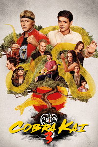 Постер сериала «Кобра Кай (2018-2025)» — (44 из 146)