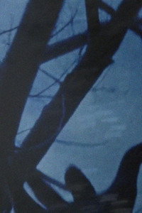 Постер фильма «Anticipation of the Night (1958)» — (1 из 8)