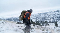 Brotherhood, Badlands and Pack Llamas: Montana Mule Deer
