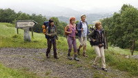 «Die Dienstagsfrauen (2011)» — обои к фильму #6