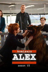Temporada 15