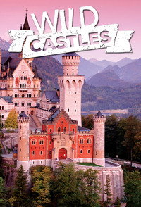 Постер сериала «Wild Castles (2017)» — (5 из 8)