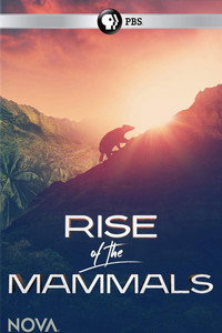 Rise of the Mammals