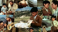 «Соловей с вершины (1958)» — обои к фильму #1