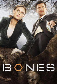 Постер сериала «Кости (2005 - 2017)» — (19 из 181)
