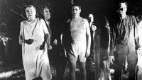 La Nuit des Morts-Vivants