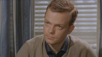 «Landsbylægen (1961)» — обои к фильму #1