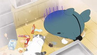 Episode 21
