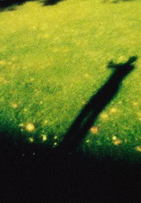Im Nachmittagslicht (2013) poster