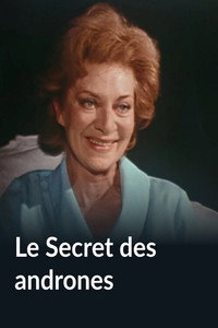 Le Secret des Andrônes