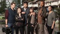«Нереальный холостяк (2015-2018)» — обои к сериалу #7